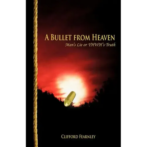 A Bullet from Heaven