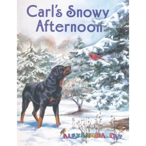 Carl's Snowy Afternoon