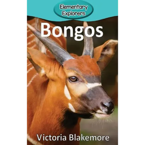 Bongos