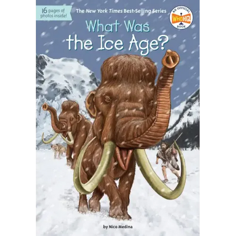 What Was the Ice Age?