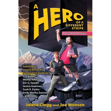 A Hero of a Different Stripe - Paperback