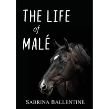 The Life of Malé - Paperback