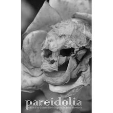 Pareidolia - Paperback
