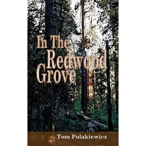 In The Redwood Grove