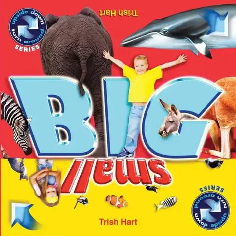 BIG and SMALL: A concept picture book for children