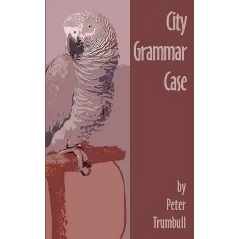 City Grammar Case