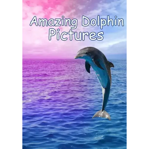 Amazing Dolphin Pictures: 100 photos of dolphins