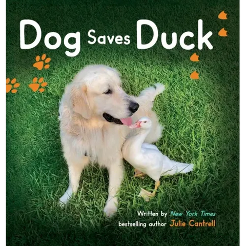 Dog Saves Duck