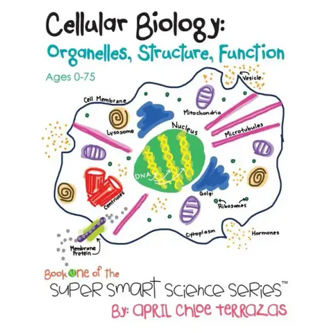 Cellular Biology: Organelles, Structure, Function