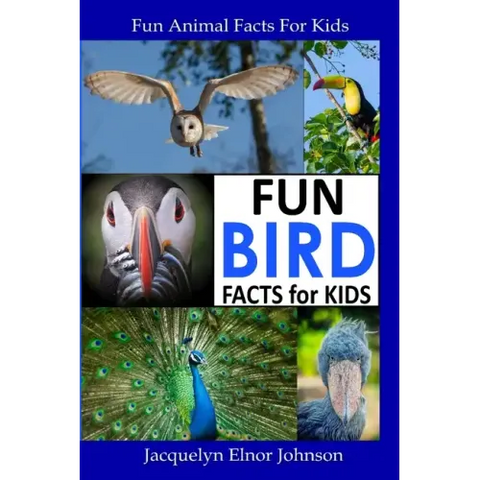 Fun Bird Facts for Kids