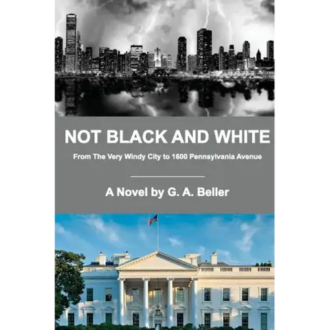 Not Black and White: From The Very Windy City to 1600 Pennsylvania Avenue