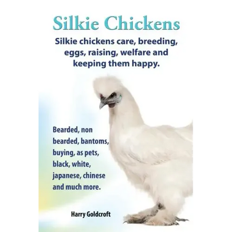 . Silkie Chickens. Silkie Chickens Care, Breeding, Eggs, Raising, Welfare and Keeping Them Happy, Bearded, Non Bearded, Bantoms, Buying, as Pets, Blac