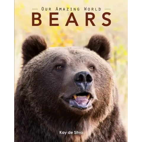 Bears: Amazing Pictures & Fun Facts on Animals in Nature