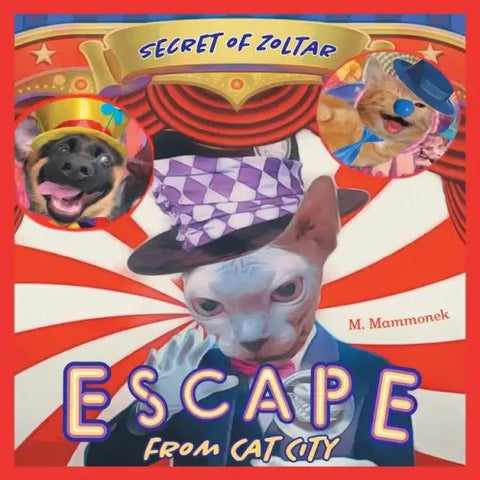 Escape from Cat City 2: Secret of Zoltar