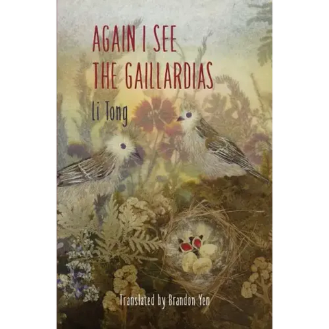 Again I See the Gaillardias