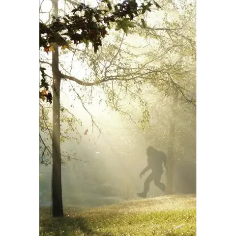 Finding Bigfoot and Other Stories