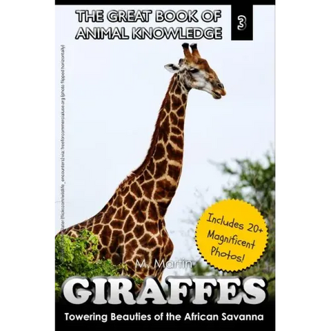 Giraffes: Towering Beauty of the African Savanna