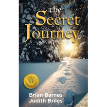 The Secret Journey - Paperback