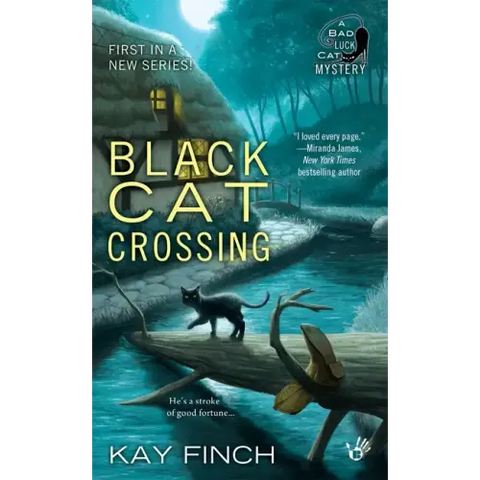 Black Cat Crossing