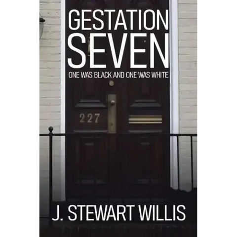 Gestation Seven: One Was Black and One Was White