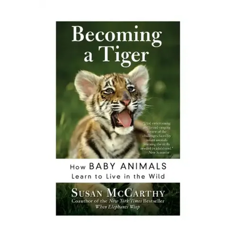 Becoming a Tiger: How Baby Animals Learn to Live in the Wild