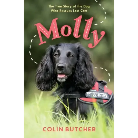 Molly: The True Story of the Dog Who Rescues Lost Cats