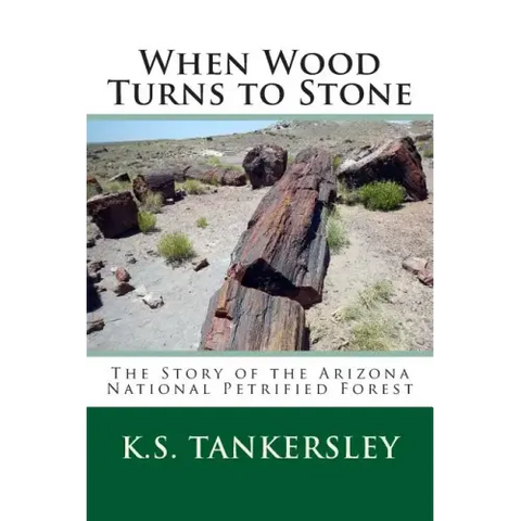 When Wood Turns to Stone: The Story of the Arizona National Petrified Forest