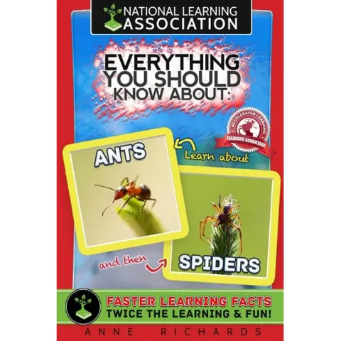 Everything You Should Know About: Ants and Spiders