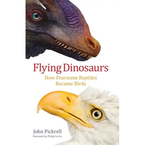 Flying Dinosaurs: How Fearsome Reptiles Became Birds