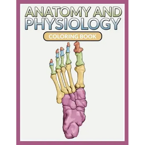 Anatomy And Physiology Coloring Book