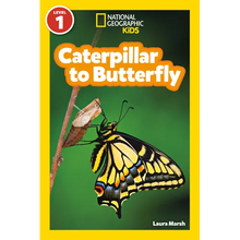 Caterpillar to Butterfly (National Geographic Kids Readers, Level 1)