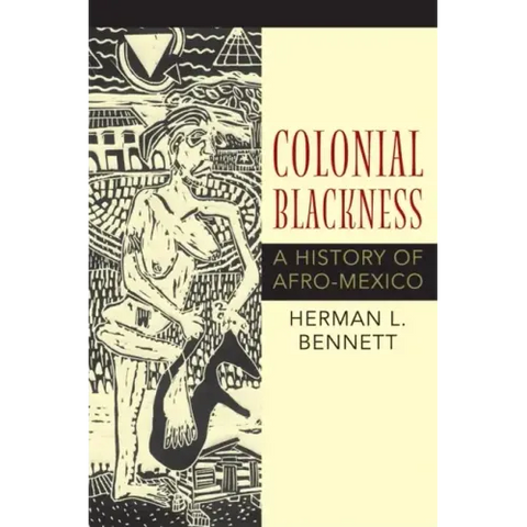 Colonial Blackness: A History of Afro-Mexico