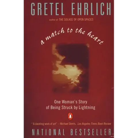 A Match to the Heart: One Woman's Story of Being Struck by Lightning