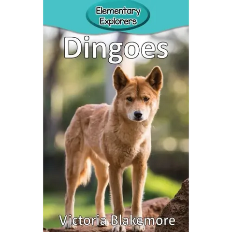 Dingoes