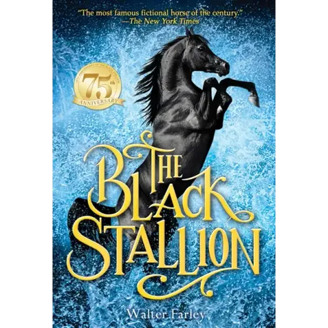 The Black Stallion