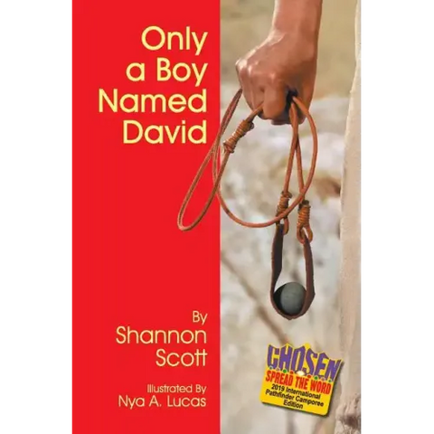 Only a Boy Named David
