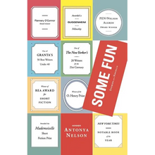 Some Fun: Stories and a Novella - Paperback