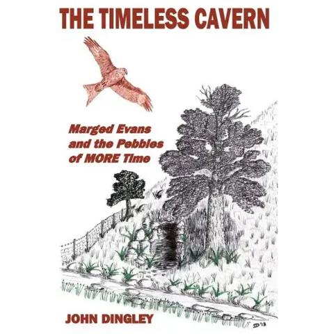 The Timeless Cavern: Marged Evans and the Pebbles of MORE Time
