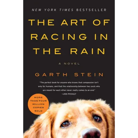 The Art of Racing in the Rain