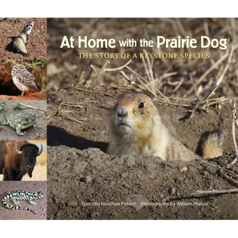 At Home with the Prairie Dog: The Story of a Keystone Species