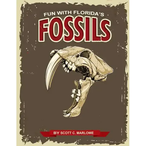 Fun With Florida's Fossils: A Learning Workbook for Young Paleontologists