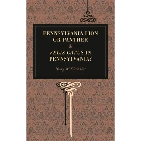 Pennsylvania Lion or Panther & Felis Catus in Pennsylvania?