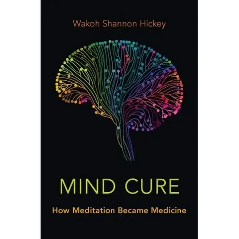 Mind Cure: How Meditation Became Medicine