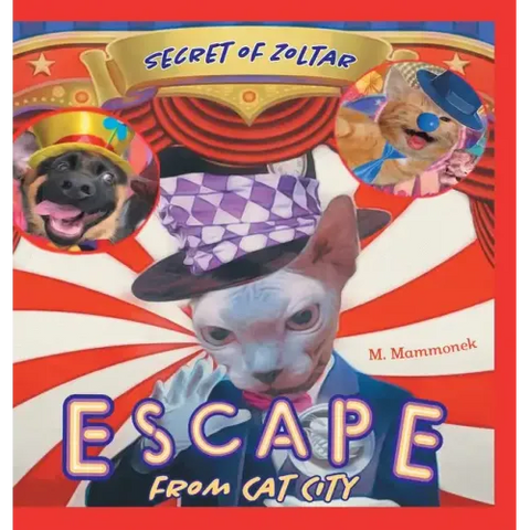 Escape from Cat City 2: Secret of Zoltar