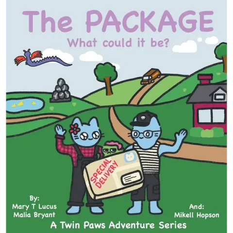 The Package: What could it be?