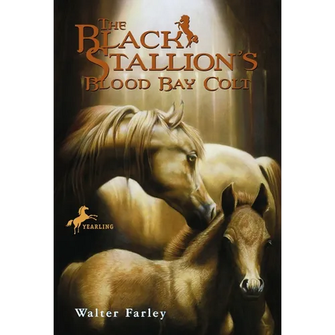 The Black Stallion's Blood Bay Colt: (Reissue)