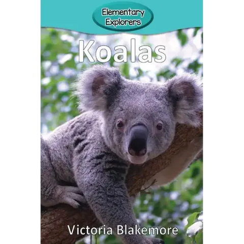 Koalas