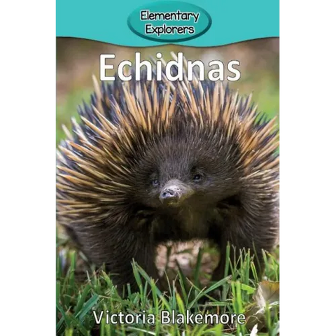Echidnas