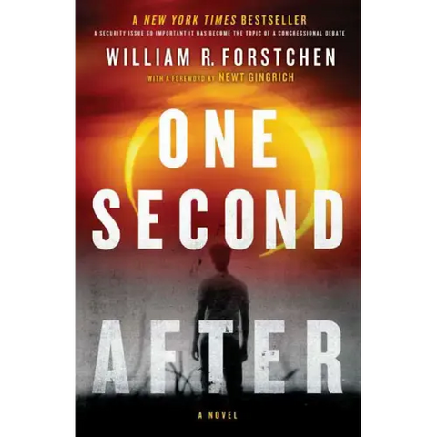 One Second After