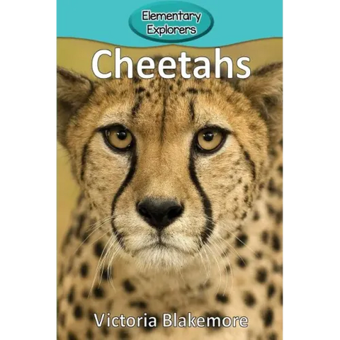 Cheetahs